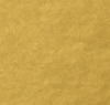 Gold/Gold